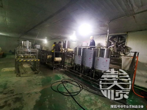 豆腐皮生產(chǎn)線設備與辦公設備及消耗品 生產(chǎn)與管理的雙重效能解析